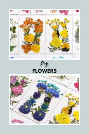 DRY FLOWERS