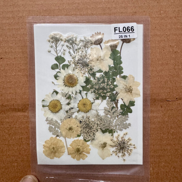 NEW WHITE Pressed Flower Sheet for Resin Art -25 PIECE