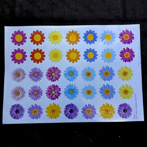 Color Insert Sheets - A4 size
