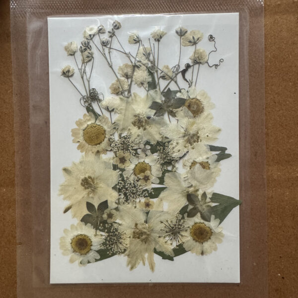 WHITE Pressed Flower Sheet for Resin Art C