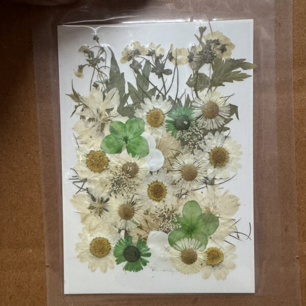 WHITE Pressed Flower Sheet for Resin Art D