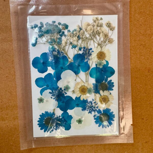 Pressed Flower Sheet for Resin Art